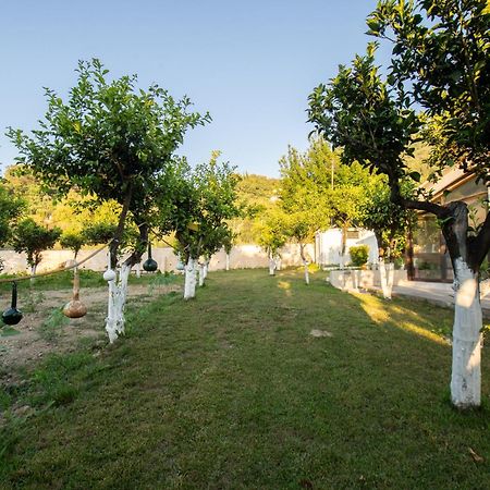 To Ktimataki Villa Agios Gordios  Exteriör bild