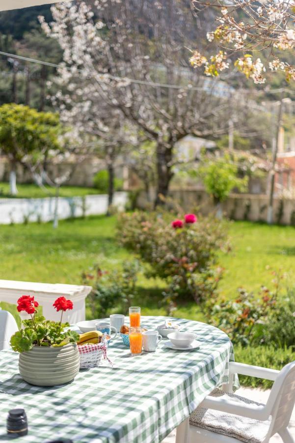 To Ktimataki Villa Agios Gordios  Exteriör bild