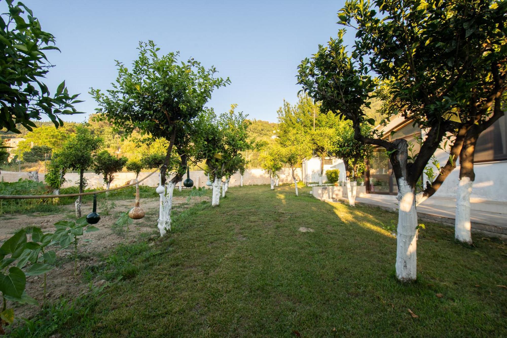 To Ktimataki Villa Agios Gordios  Exteriör bild